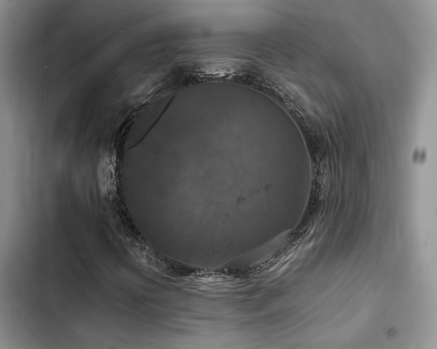 X0000102861394200808181430