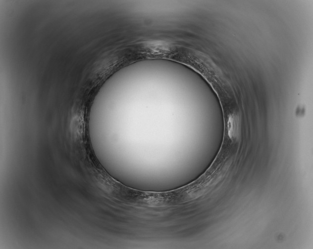 X0000102861395200808181430