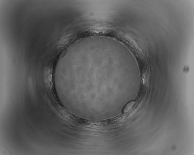 X0000102861396200808181430