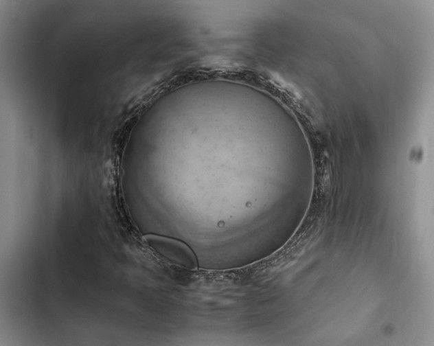 X0000102861397200808181430