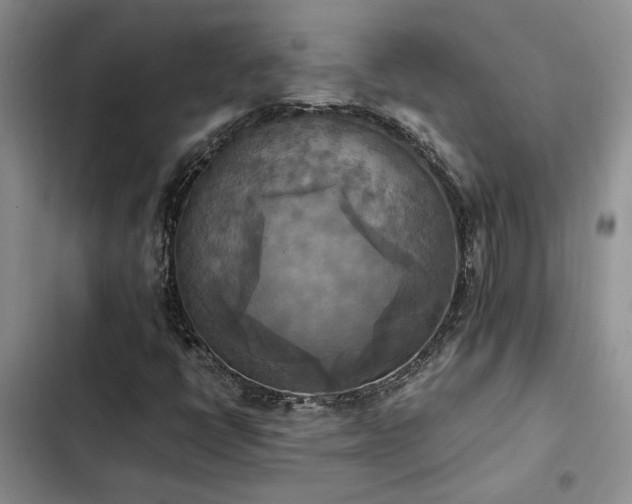 X0000102861398200808181430