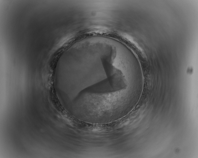 X0000102861399200808181430