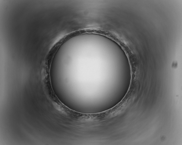 X0000102861400200808181430