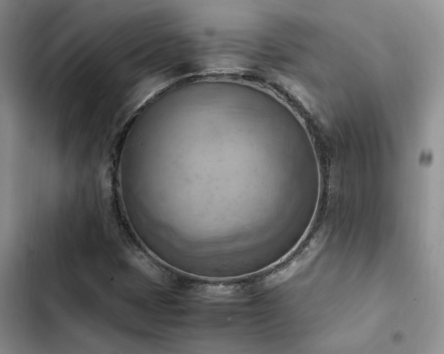 X0000102861401200808181430