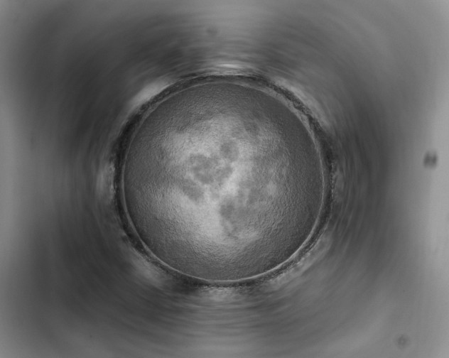 X0000102861402200808181430