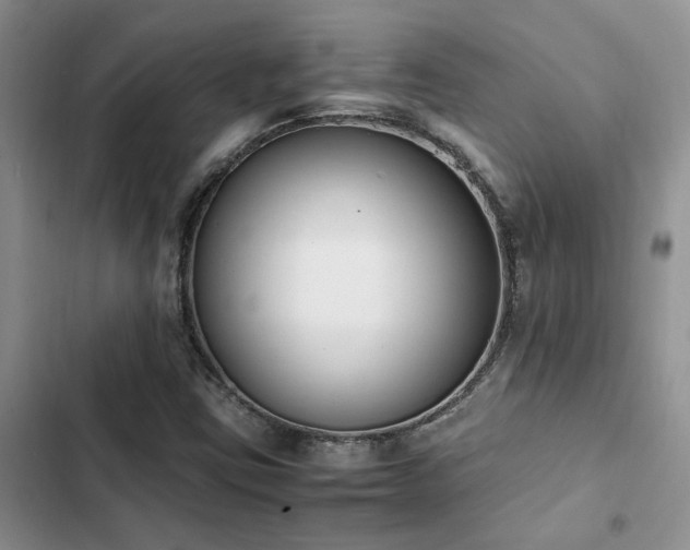 X0000102861403200808181430