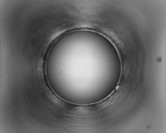 X0000102861404200808181430