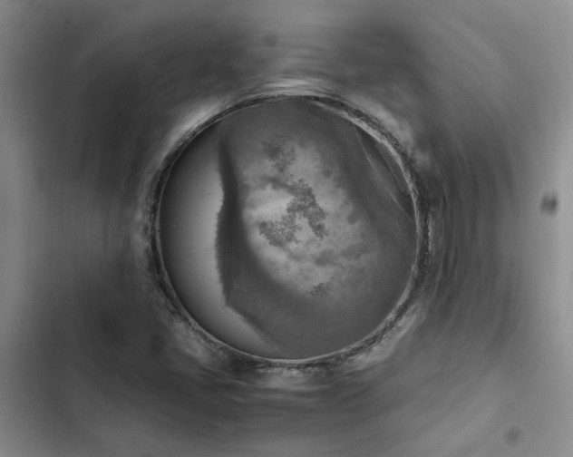 X0000102861405200808181430