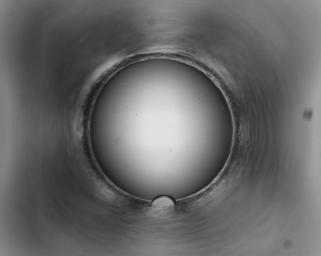 X0000102861406200808181430