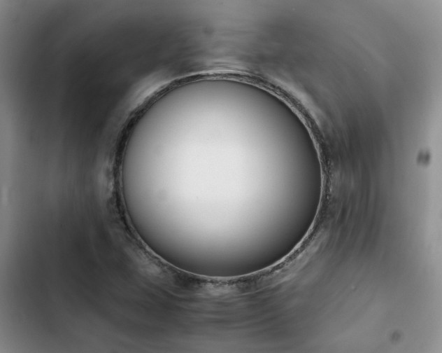 X0000102861407200808181430