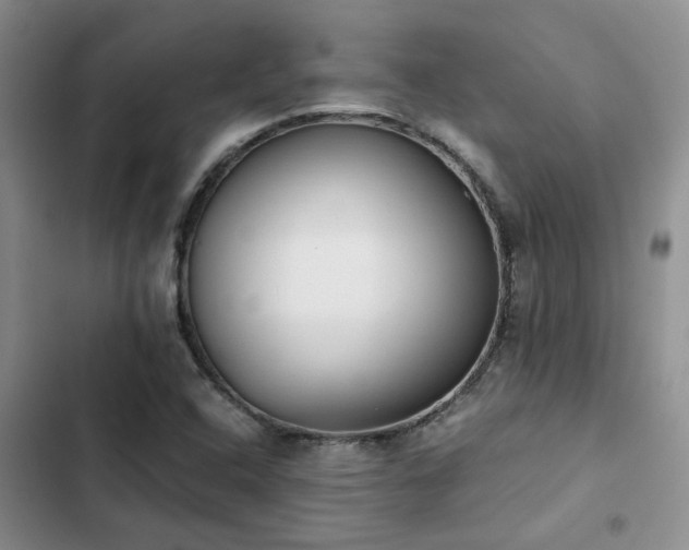 X0000102861408200808181430