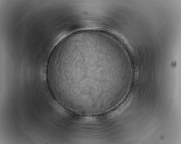 X0000102861409200808181430