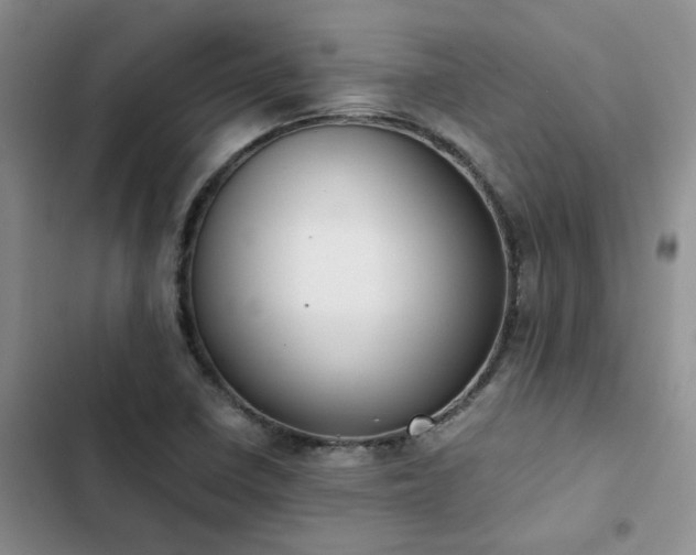 X0000102861410200808181430