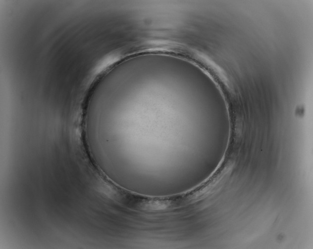 X0000102861411200808181430