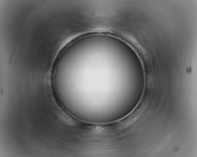 X0000102861412200808181430