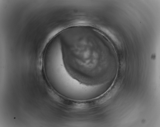 X0000102861413200808181430