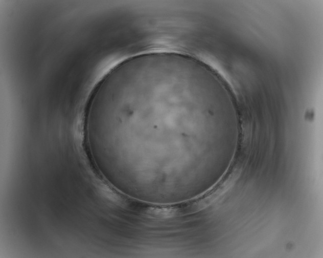 X0000102861415200808181430