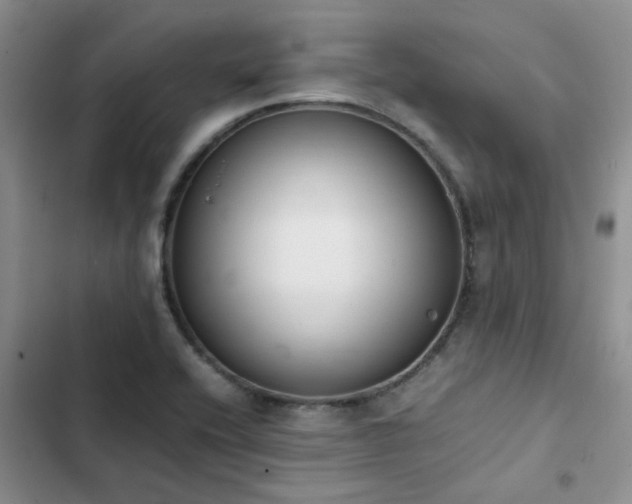 X0000102861416200808181430