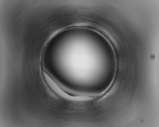 X0000102861417200808181430