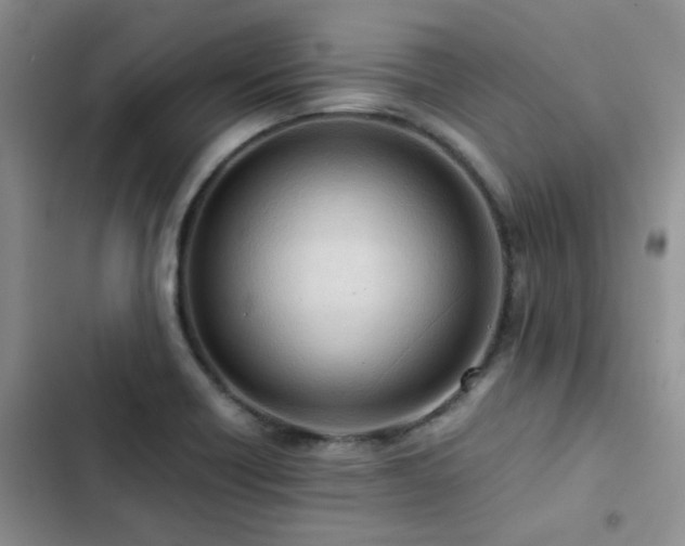 X0000102861418200808181430