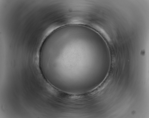 X0000102861419200808181430