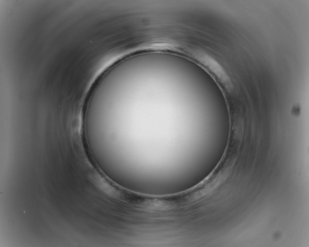 X0000102861420200808181430