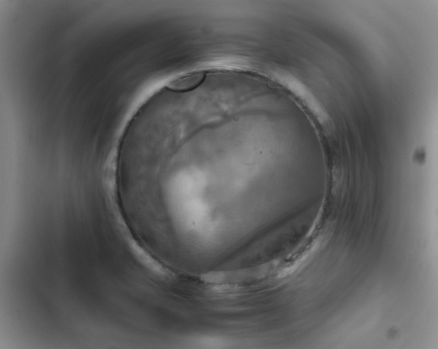 X0000102861421200808181430