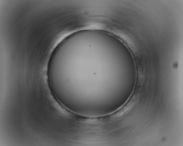 X0000102861422200808181430