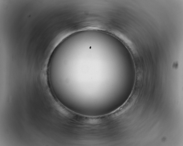 X0000102861423200808181430