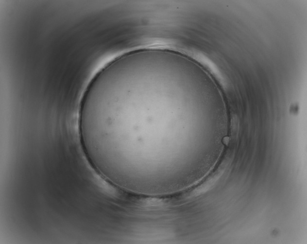 X0000102861424200808181430