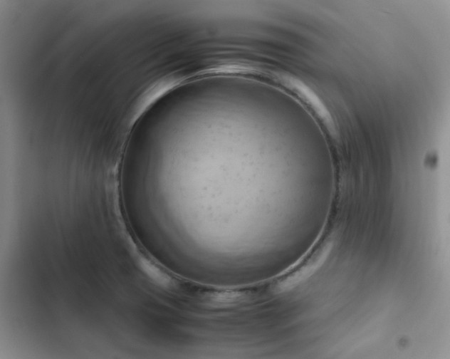 X0000102861425200808181430