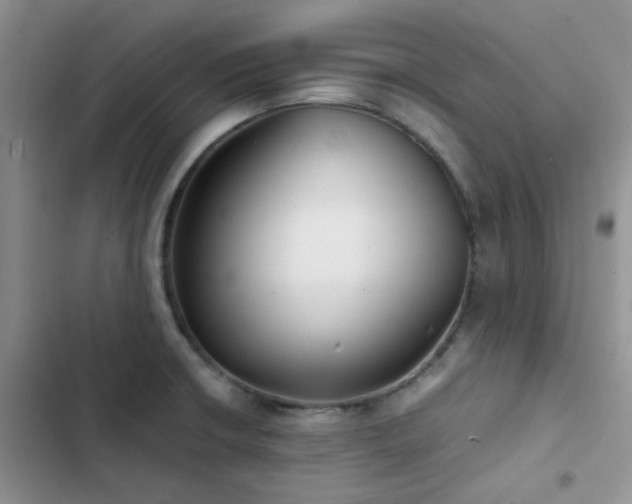 X0000102861426200808181431