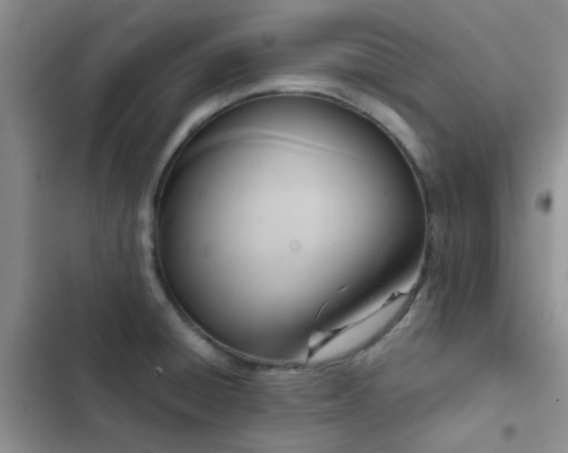 X0000102861428200808181431