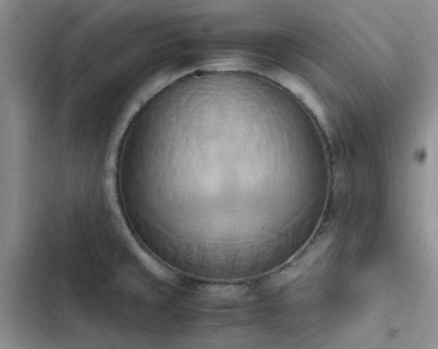 X0000102861429200808181431