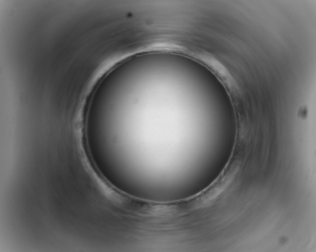 X0000102861430200808181431