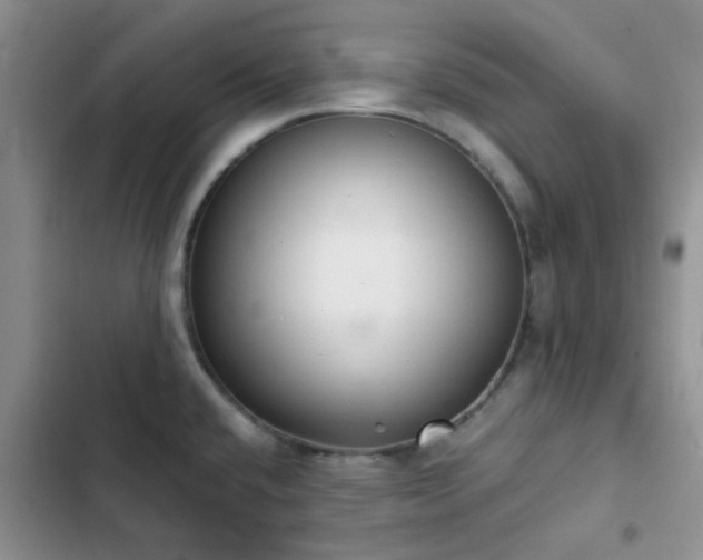 X0000102861432200808181431