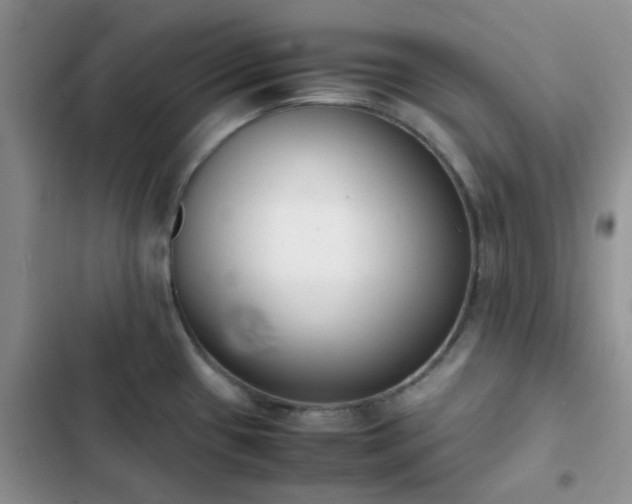 X0000102861433200808181431