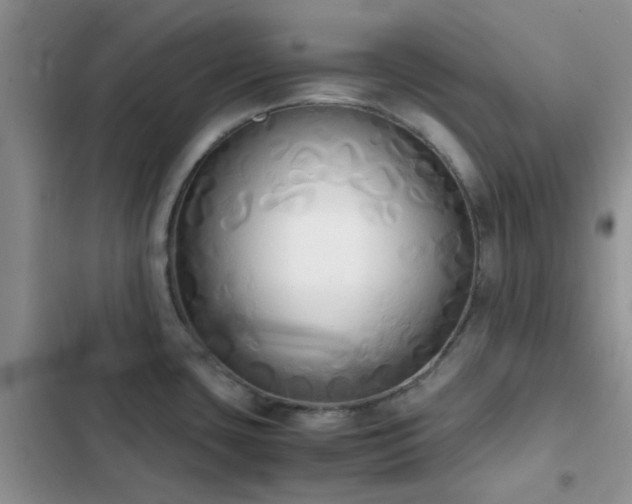 X0000102861435200808181431