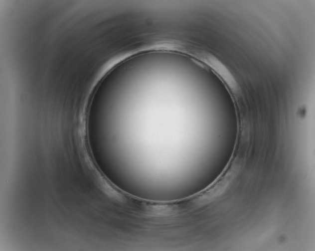 X0000102861436200808181431