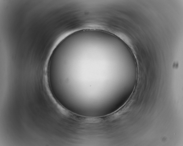 X0000102861440200808181431