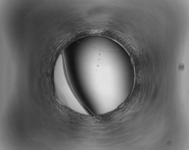 X0000102861441200808181430