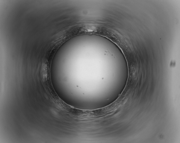 X0000102861442200808181430