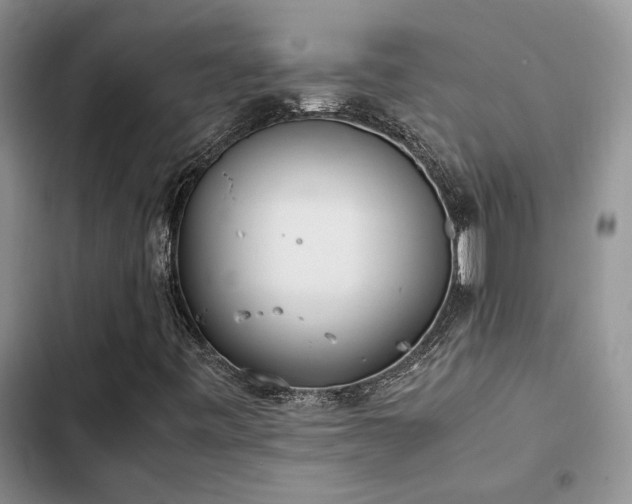 X0000102861443200808181430