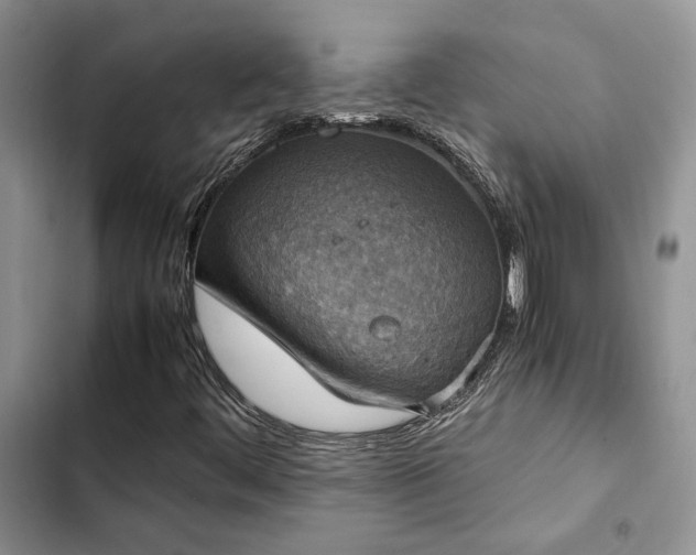 X0000102861444200808181430