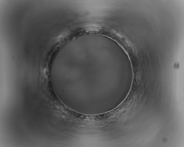 X0000102861445200808181430