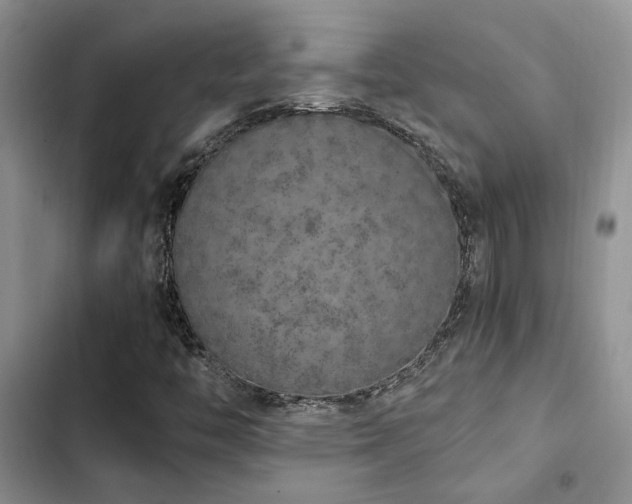 X0000102861446200808181430