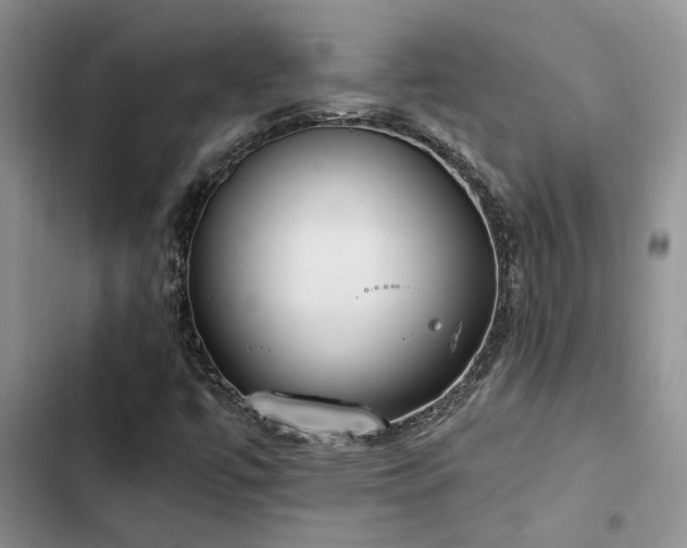 X0000102861447200808181430