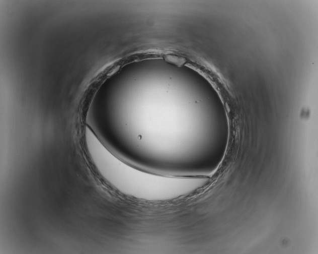 X0000102861448200808181430