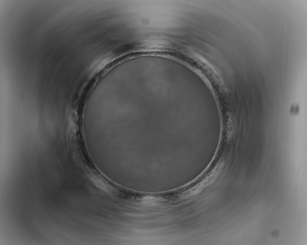 X0000102861449200808181430