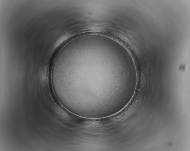 X0000102861450200808181430